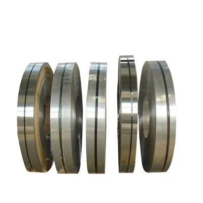 1095 스프링 스틸 스트립
